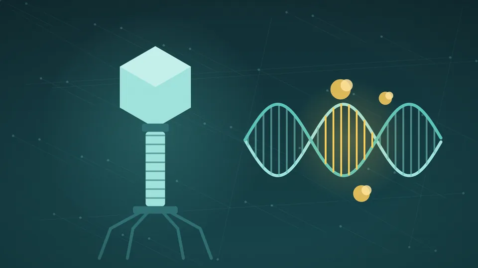 Ilustración de un bacteriófago junto a una doble hélice de ADN con un segmento iluminado y pequeñas formas de enzimas